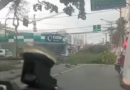 Após quedas de várias árvores na cidade, Prefeitura de S. Bernardo decide fechar parques