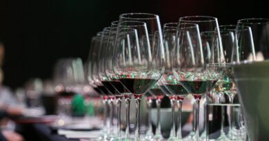 Importação de vinhos no Brasil cresce 12,77% no 1º semestre de 2026 e atinge US$ 272,9 milhões